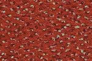 Ковролин Balsan Zenith Roll 435 фото  | FLOORDEALER